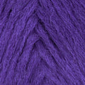 Calypso